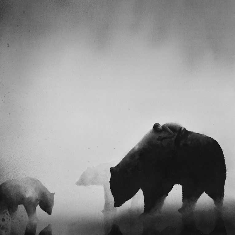 breathtaking black and white