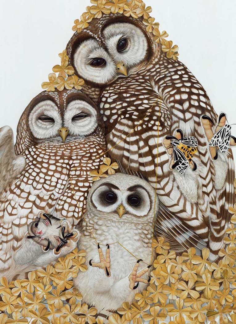 adorable family of owls painting by tiffany bozic arkansas cycle works