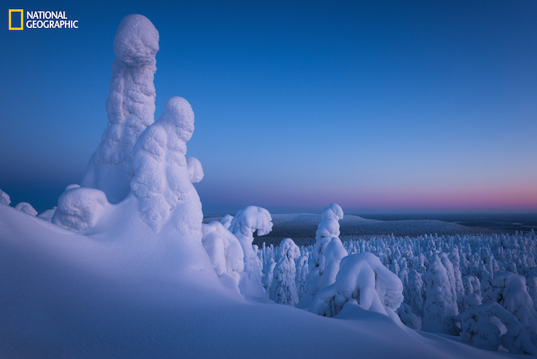 An other world on the top of this hill in Lapland. Snow ghosts are everywhere, we are only visitors. March 2016, Finland  Feel free to visit my FB and website:  https://www.facebook.com/PierreDestribatsPhoto  www.pierredestribats.com