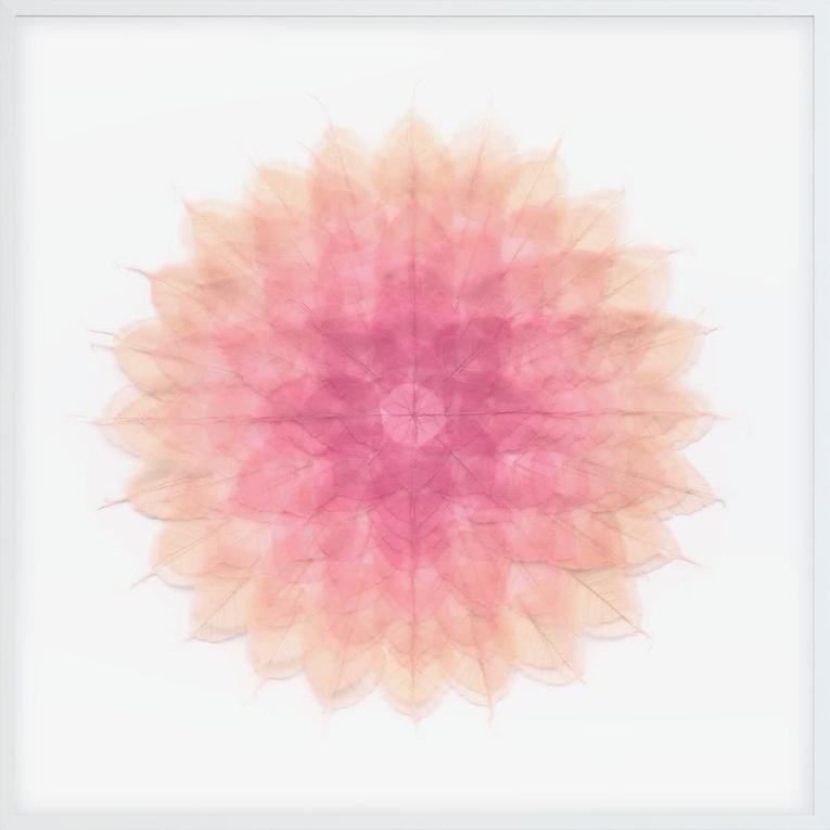 twyla-miya-ando-bodhi-leaf-mandala-pink-framed-17121649738a253f6b375668e94d7939