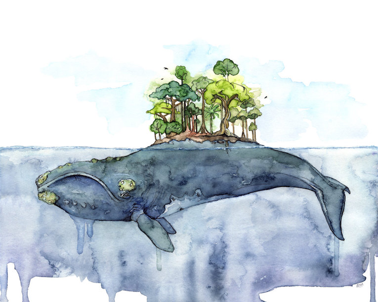 watercolor-whales-02