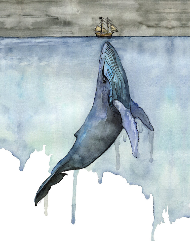 watercolor-whales-03