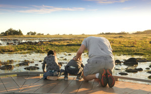 The Breathtaking Vernal Pools at Santa Rosa Plateau