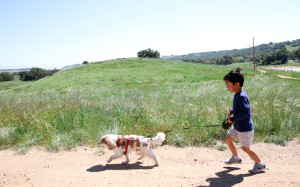 Hiking With the Dogs at Santa Rosa Plateau