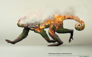Powerful Visuals: Destroying Nature is Destroying Life