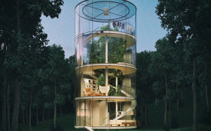 Beautiful Glass House is Built Around a Tree