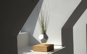 Lyfe: New Gravity-Defying Floating Planter