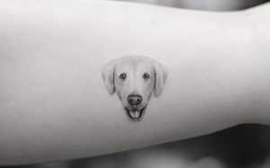 Micro Pet Tattoos by Mr. K
