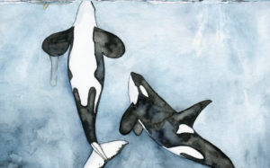 Beautiful Watercolor Paintings of Whales by Rachel Byler
