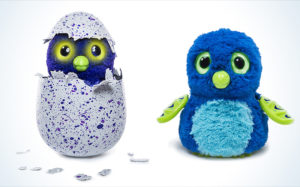 Hatchimal: The Hottest Christmas Toy of 2016