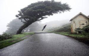 Winners of the USA Landscape Photographer of the Year 2016