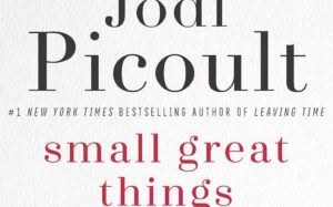 Book to Read: Small Great Things by Jodi Picoult
