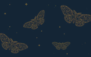 New Book: The Moth Presents All These Wonders – True Stories About Facing the Unknown