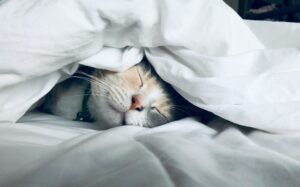 My Secret to Amazing Sleep